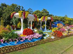 -上海共青森林公园