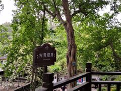 -幕燕滨江·燕子矶公园