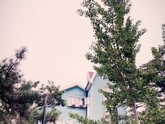 -八大关景区