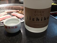 -汉城馆·烤肉火锅餐厅·韩国烤肉(河北云瑧世纪大饭店)