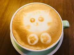 -猫咪博物馆(顶澳仔猫街店)