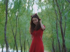 -长白岛森林公园