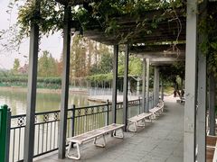 -黄兴公园