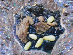 -旺福楼·包点(碑亭巷店)