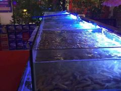 -特色酱椒鱼私房菜(黄鹤楼店)