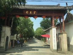 -宏泰园蔬果专业合作社