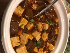麻辣豆腐烩鸡鸭血-熠盛·本帮菜Bistro(永嘉路店)