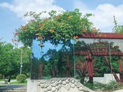 -武汉园博园(武汉自然博物馆)