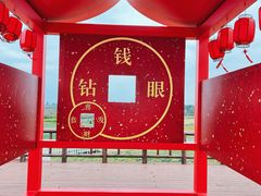 -空港花田景区