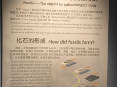 -辽宁古生物博物馆