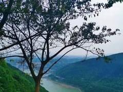 -铁山坪森林公园