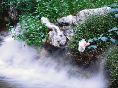 -绣园·茶食宴(湘绣博物馆店)