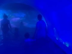 -花水湾第一村温泉大酒店