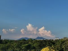 -厦门园林博览苑