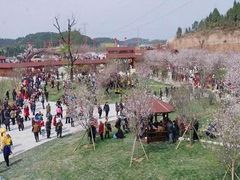 -绵阳盛世樱花悠乐谷