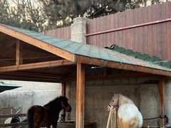 -静之湖湖畔餐厅