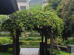 -宁波柏悦酒店·钱湖渔港