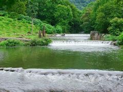 -广州市石门国家森林公园
