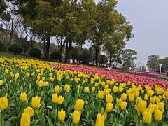 -上海鲜花港