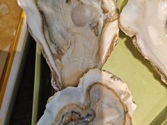 -阿古蒙·传统涮火锅自助(三台子万象汇店)
