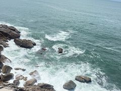 -广东惠东海龟国家级自然保护区