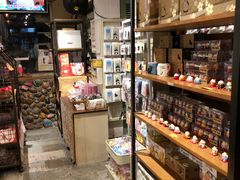 -猫咪博物馆(顶澳仔猫街店)