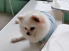 -怪兽屋·羊驼·猫咖·狗咖(俊华广场店)