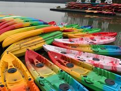 -上海海湾国家森林公园