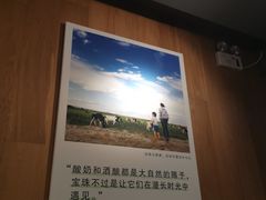 -宝珠奶酪(闵行仲盛店)