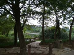 -贵阳市花溪国家城市湿地公园