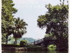 -星湖旅游景区七星岩