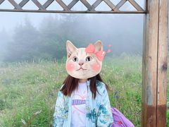 -白草畔自然风景区