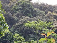 -北仑森林植物园