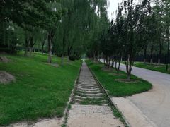 -永定河休闲森林公园