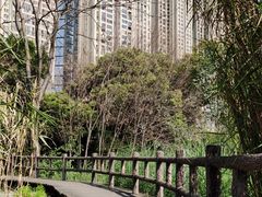 -成都市活水公园