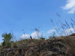 -白马涧龙池景区