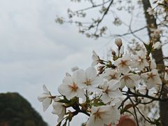 -青山湖景区