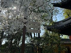-龙华寺