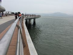 -演武大桥观景平台