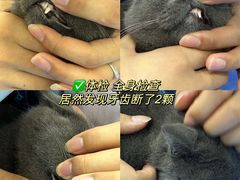 -pd派德宠物中心医院24H急重症·眼科中心·血液透析中心(嵩山北路店)