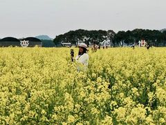 -长洲岛