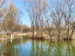 -西安浐灞国家湿地公园