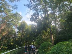 -仙岳公园