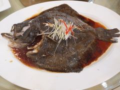 清蒸多宝鱼-鹏天阁酒楼·海鲜(红旗店)