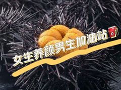 -海胆小馆(东北水饺·春柳店)