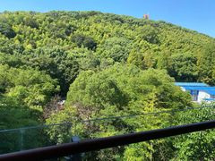 -上海佘山茂御臻品之选酒店(原佘山艾美酒店)