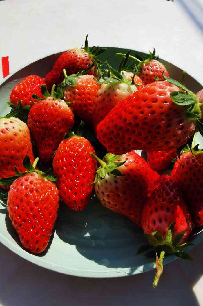 the strawberry was really fresh.