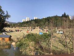 -牛岗山公园