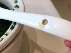 -祥记餐饮•豫粤珍味(郑东新区新长安店)