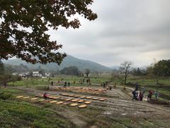 -塔川景区